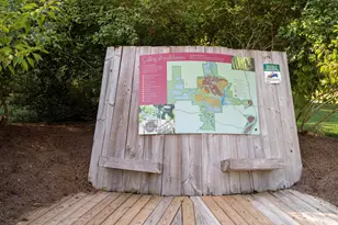 1178 Great Ridge Pkwy, Chapel Hill, NC 27516 - Photo 31