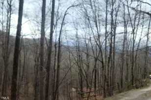 0 Bear Cove Cir, Bryson City, NC 28713 - Photo 7