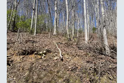 0 Bear Cove Circle, Bryson City, NC 28713 - Photo 5