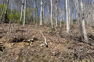 0 Bear Cove Cir, Bryson City, NC 28713 - Photo 5