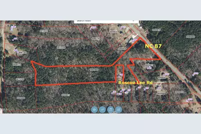 0 N Nc 87 N, Pittsboro, NC 27312 - Photo 1