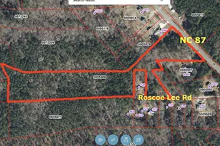 0 N Nc 87 N, Pittsboro, NC 27312 - Photo 1