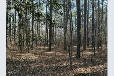 Lots 4 & 5 Simon Collie Road, Louisburg, NC 27549 - Photo 7