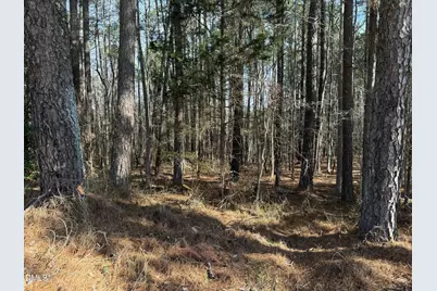 Lots 4 & 5 Simon Collie Road, Louisburg, NC 27549 - Photo 3