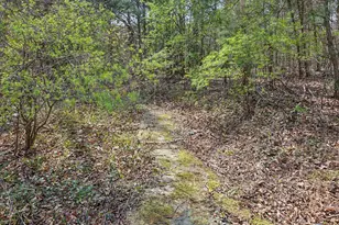 5324 Maplemoor Way, Raleigh, NC 27616 - Photo 63