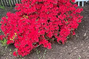 5421 Maggie Run Ln, Fuquay Varina, NC 27526 - Photo 57