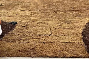 2305 Oakwood Mdws Ct, Raleigh, NC 27604 - Photo 3