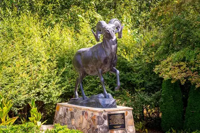 503 Pine Bluff Trail, Chapel Hill, NC 27516 - Photo 35