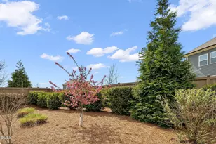 709 Nijinski Wy, Cary, NC 27519 - Photo 57