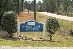 705 Colonial Hills Dr, Lillington, NC 27546 - Photo 43