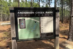 705 Colonial Hills Dr, Lillington, NC 27546 - Photo 45