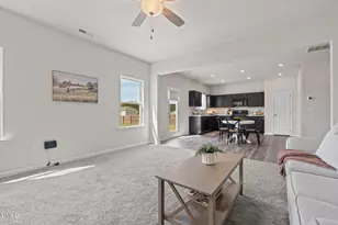 115 Liam Dr, Broadway, NC 27505 - Photo 15