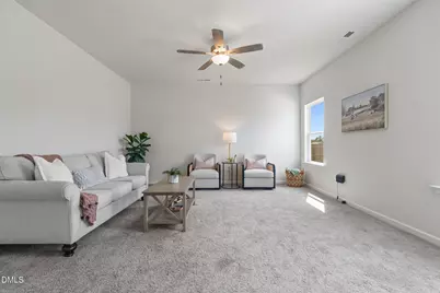 115 Liam Drive, Broadway, NC 27505 - Photo 3