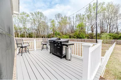 210 Mitchell Manor Drive, Angier, NC 27501 - Photo 47