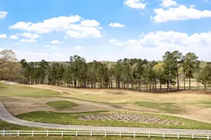 3406 Environ Way, Chapel Hill, NC 27517 - Photo 7