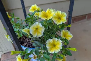 35 Stonewall Way, Durham, NC 27704 - Photo 33