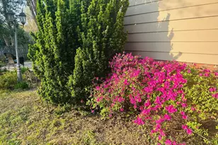 2808 Doves Nest Ct, Fuquay Varina, NC 27526 - Photo 47