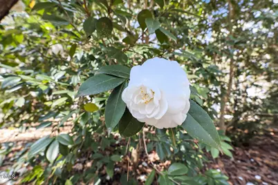 2022 Englewood Drive, Apex, NC 27539 - Photo 53