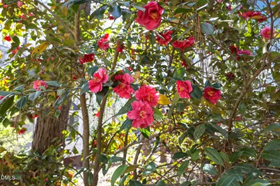 2022 Englewood Drive, Apex, NC 27539 - Photo 55