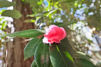 2022 Englewood Drive, Apex, NC 27539 - Photo 57