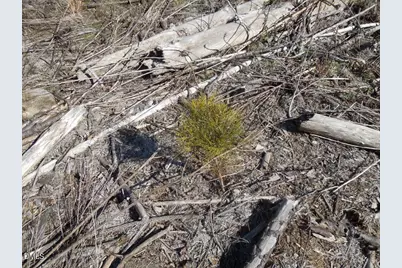 1059 Ridgeway-Warrenton Road, Norlina, NC 27563 - Photo 5