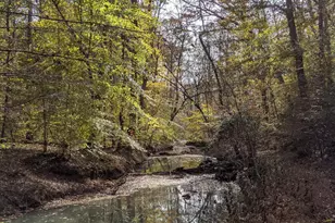 825 Oxbow Crossing Rd, Chapel Hill, NC 27516 - Photo 75