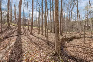 825 Oxbow Crossing Rd, Chapel Hill, NC 27516 - Photo 73