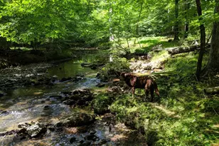 825 Oxbow Crossing Rd, Chapel Hill, NC 27516 - Photo 73