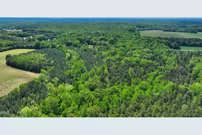 2822 Little River Church Road, Hurdle Mills, NC 27541 - Photo 41