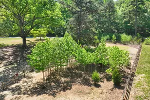 2822 Little River Church Rd, Hurdle Mills, NC 27541 - Photo 61