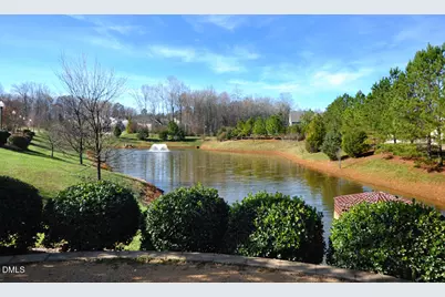 424 Powell Place Lane, Pittsboro, NC 27312 - Photo 87