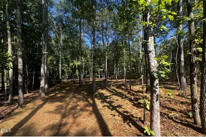 181 Bullseye Court, Middlesex, NC 27557 - Photo 5