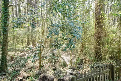 711 W Carver Street, Durham, NC 27704 - Photo 35