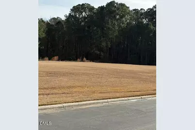 660 E Jackson Boulevard, Erwin, NC 28339 - Photo 3