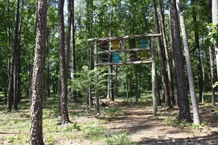 57 Vandalia Ave, Chapel Hill, NC 27516 - Photo 69