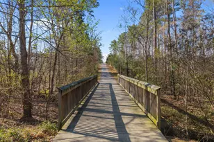 813 Hamlet Park Dr, Morrisville, NC 27560 - Photo 35