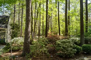 14 Timberlyne Rd, Chapel Hill, NC 27514 - Photo 43