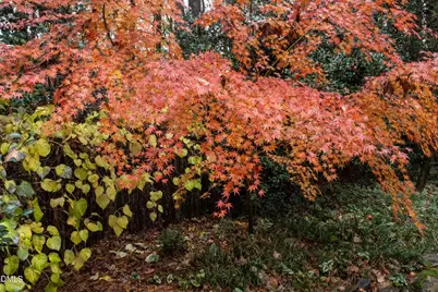 14 Timberlyne Road, Chapel Hill, NC 27514 - Photo 41