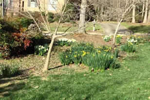 101 Magerton Ct, Cary, NC 27511 - Photo 35