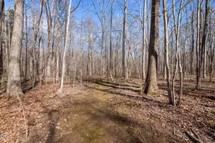 8514 Charlie Stovall Rd, Roxboro, NC 27574 - Photo 35