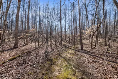 8514 Charlie Stovall Road, Roxboro, NC 27574 - Photo 39