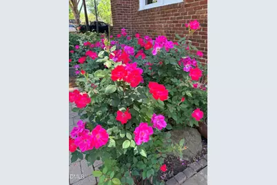 521 S Main Street, Wake Forest, NC 27587 - Photo 65