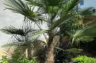 4603 Brighton Ridge Dr, Apex, NC 27539 - Photo 53