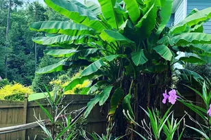 4603 Brighton Ridge Dr, Apex, NC 27539 - Photo 51