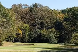 104 Pontiac Cove, Louisburg, NC 27549 - Photo 51