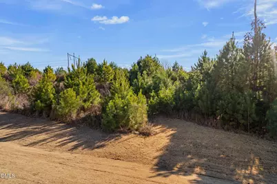 514 Turnstone Drive, Durham, NC 27703 - Photo 25