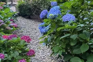 7804 Milltrace Run, Raleigh, NC 27615 - Photo 25