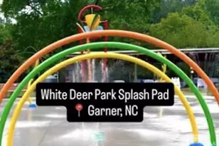 5600 Cardinal Landing Dr, Raleigh, NC 27603 - Photo 33