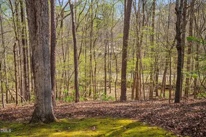 106 Eagle Swoop Court, Cary, NC 27513 - Photo 35