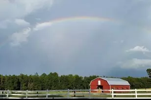 31 Chasewood Dr, Angier, NC 27501 - Photo 71